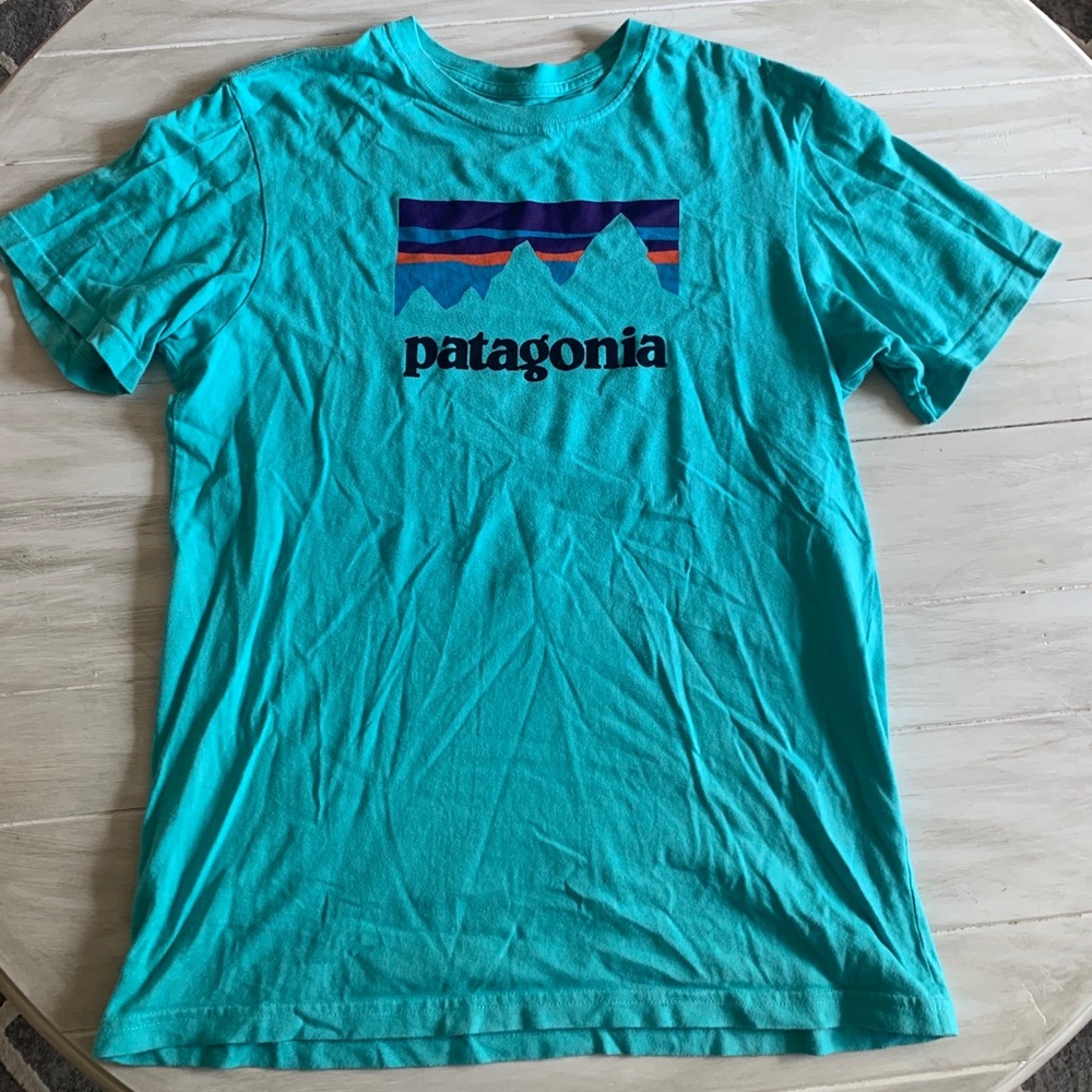 Patagonia T shirt